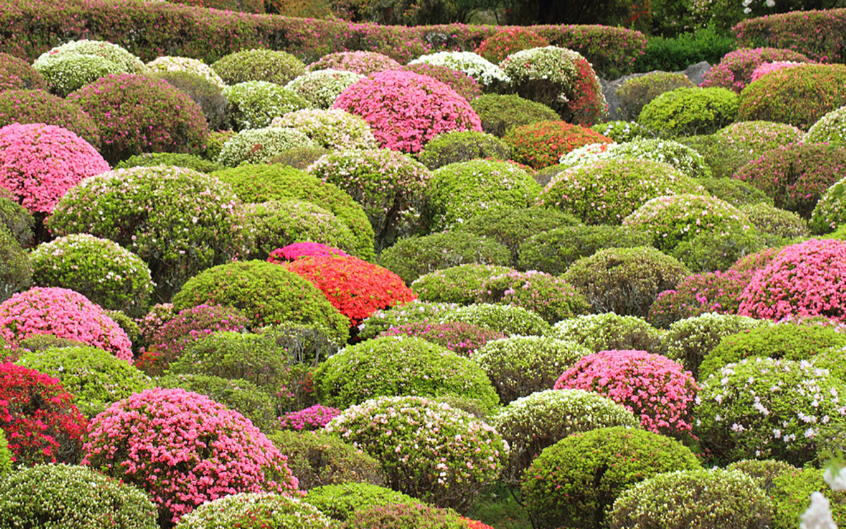 日本語の国産CMSです。編集・更新が簡単に行えます。